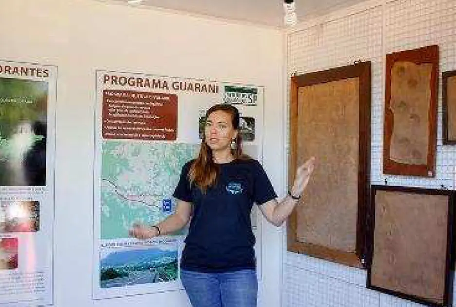 Programa Guarani 4